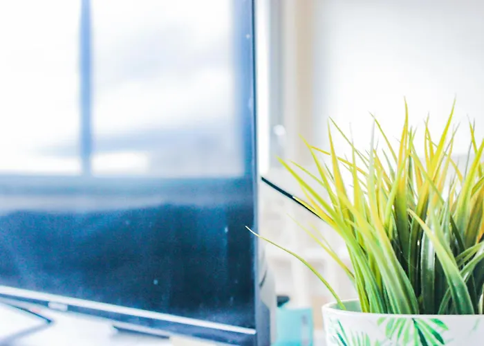 公寓 T3 Confortable Et Lumineux