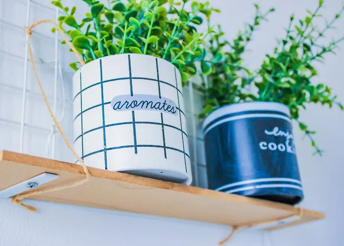 T3 Confortable Et Lumineux * Clermont-Ferrand